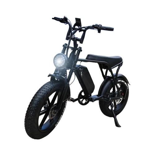 Urban Electric Bicycle 25km/h